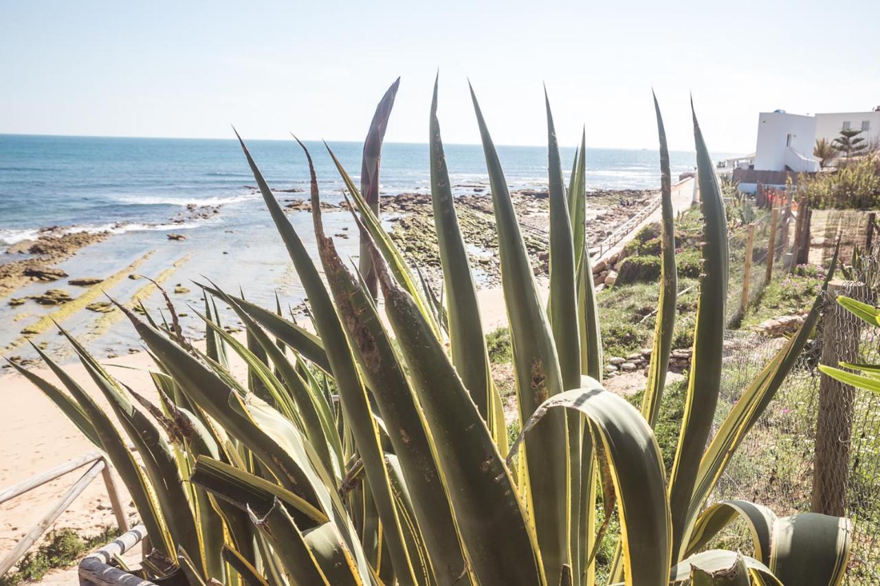 Duplex Sereno 7 - Piscina, Garaje, Jardin Y Playa Los Canos De Meca Buitenkant foto